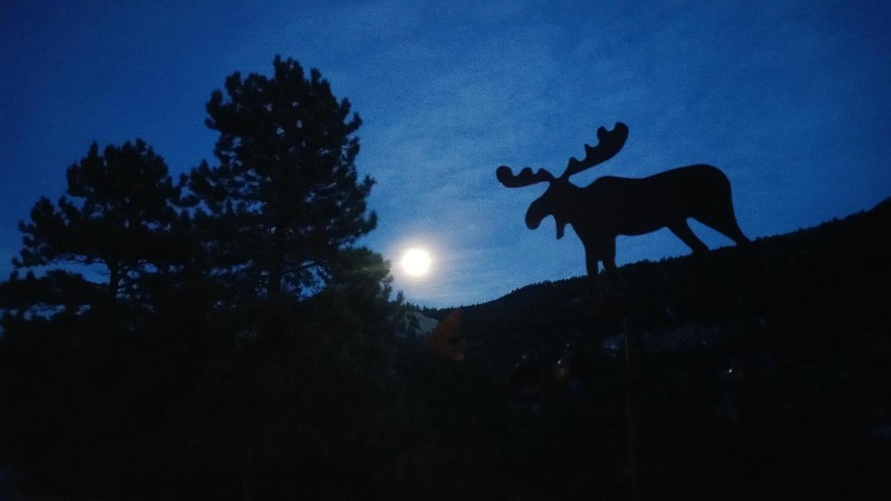 Alpine Moose Lodge Lake City Zewnętrze zdjęcie